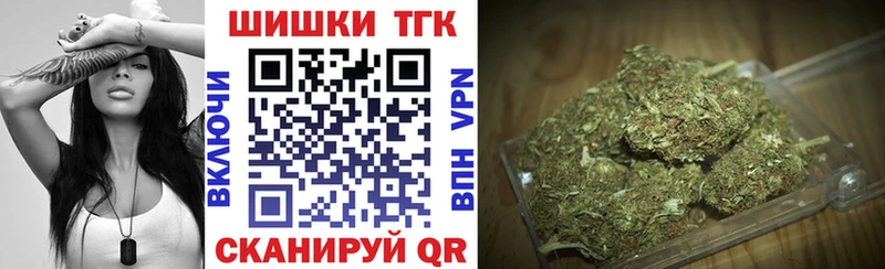 Каннабис планчик Бологое